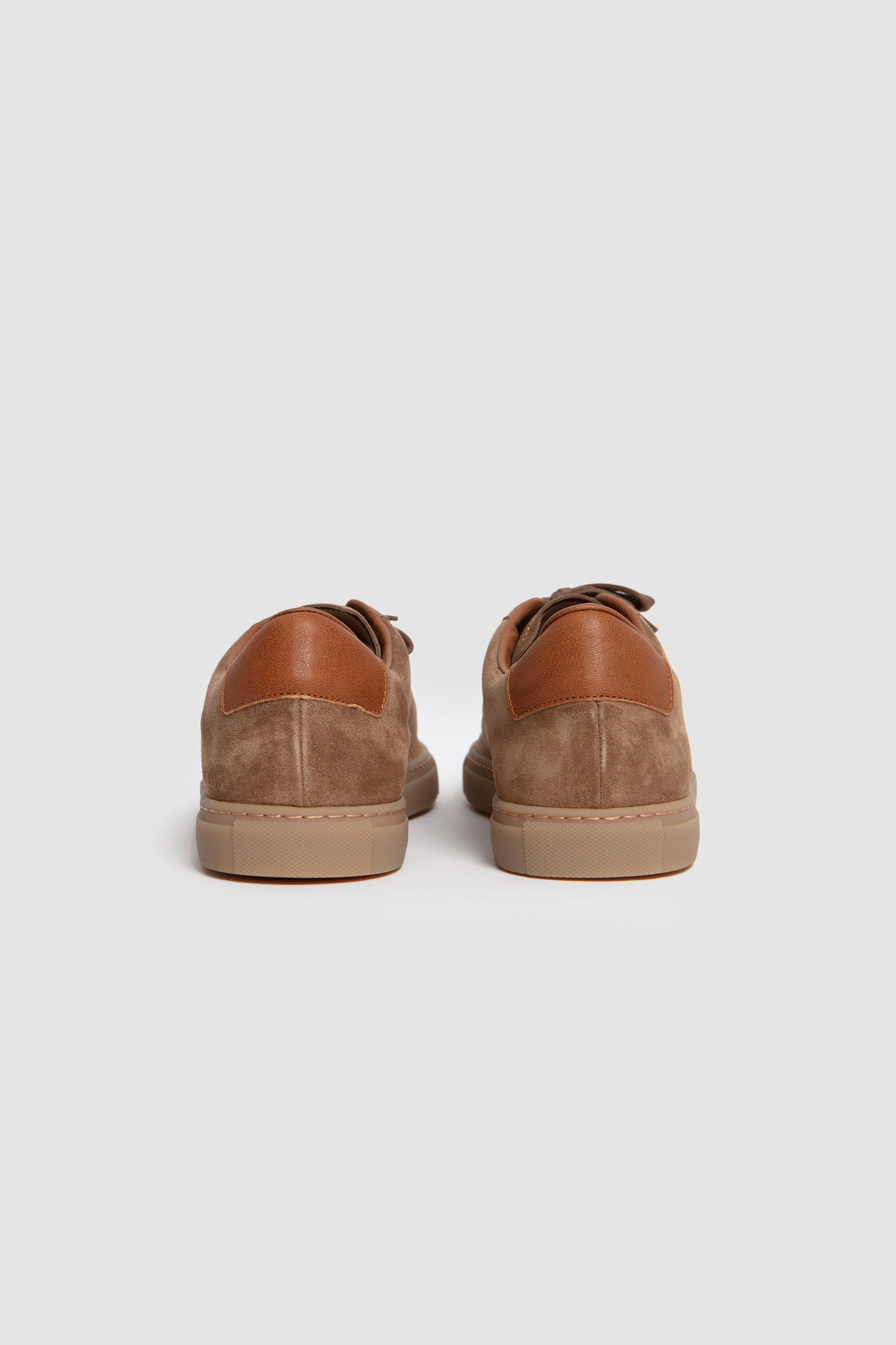 Field Trainer Tobacco_7