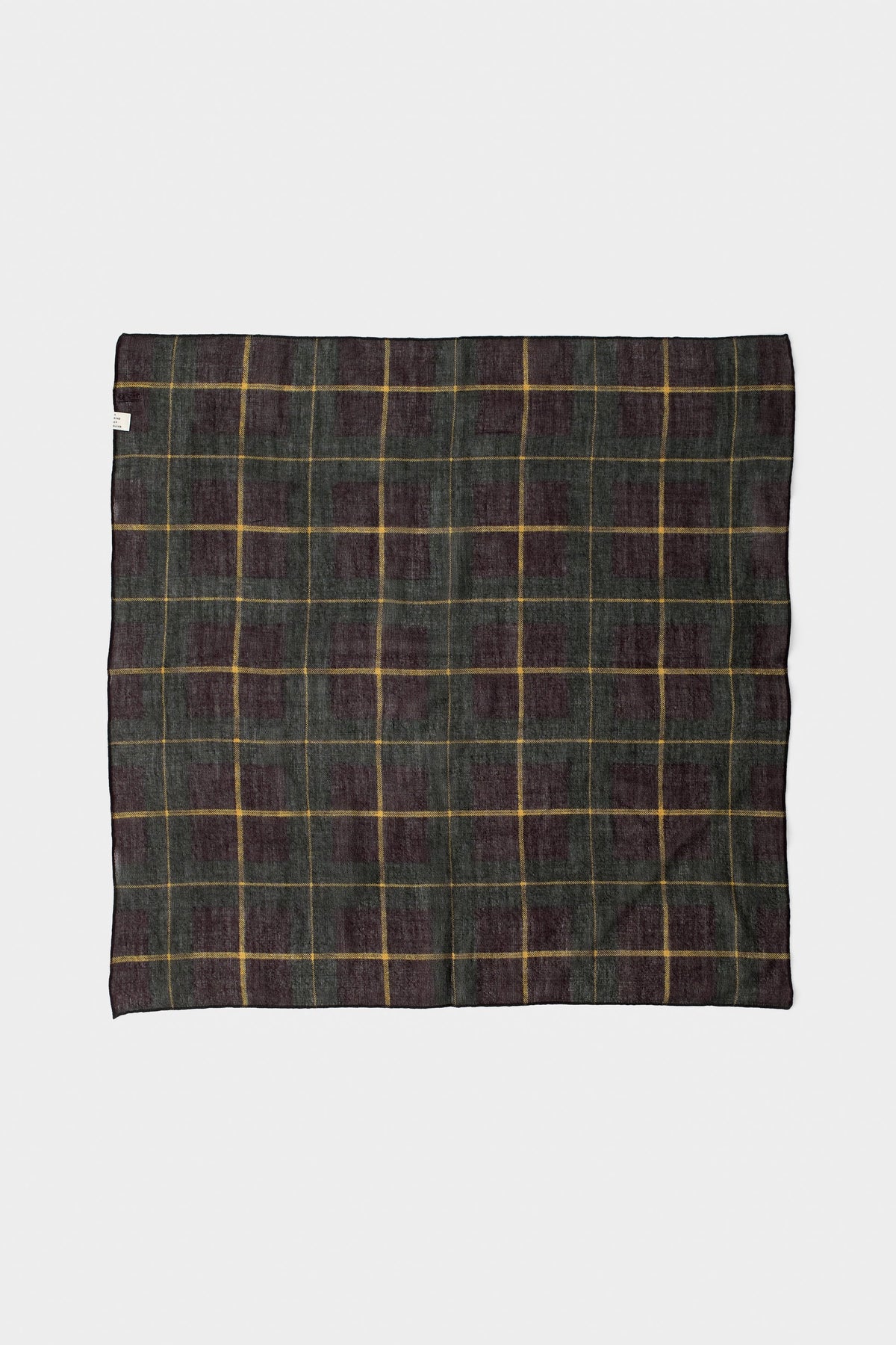 Salazar Wool Scarf Amber Check_4