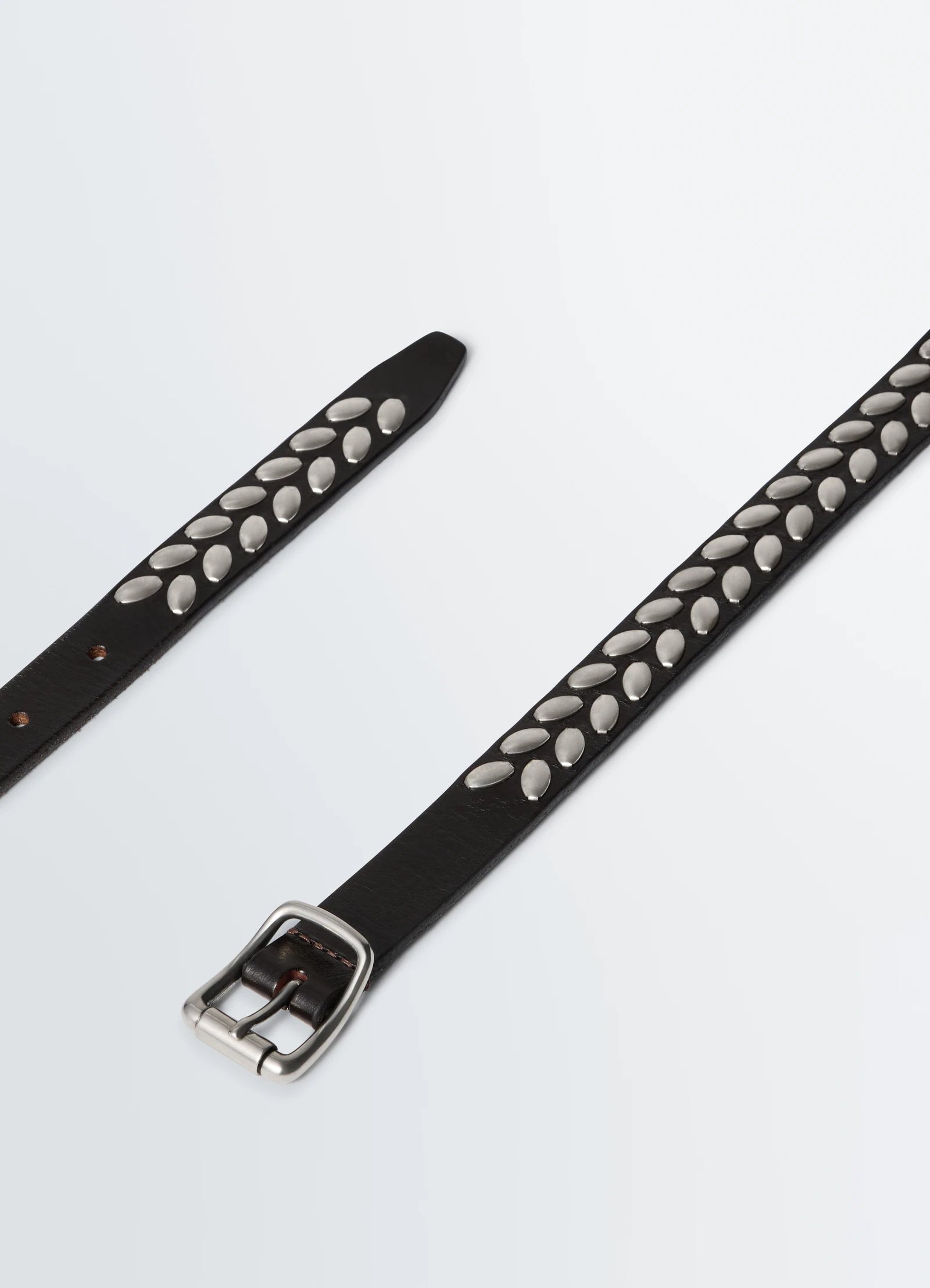 Almond Stud Belt 20MM Dark Brown_2