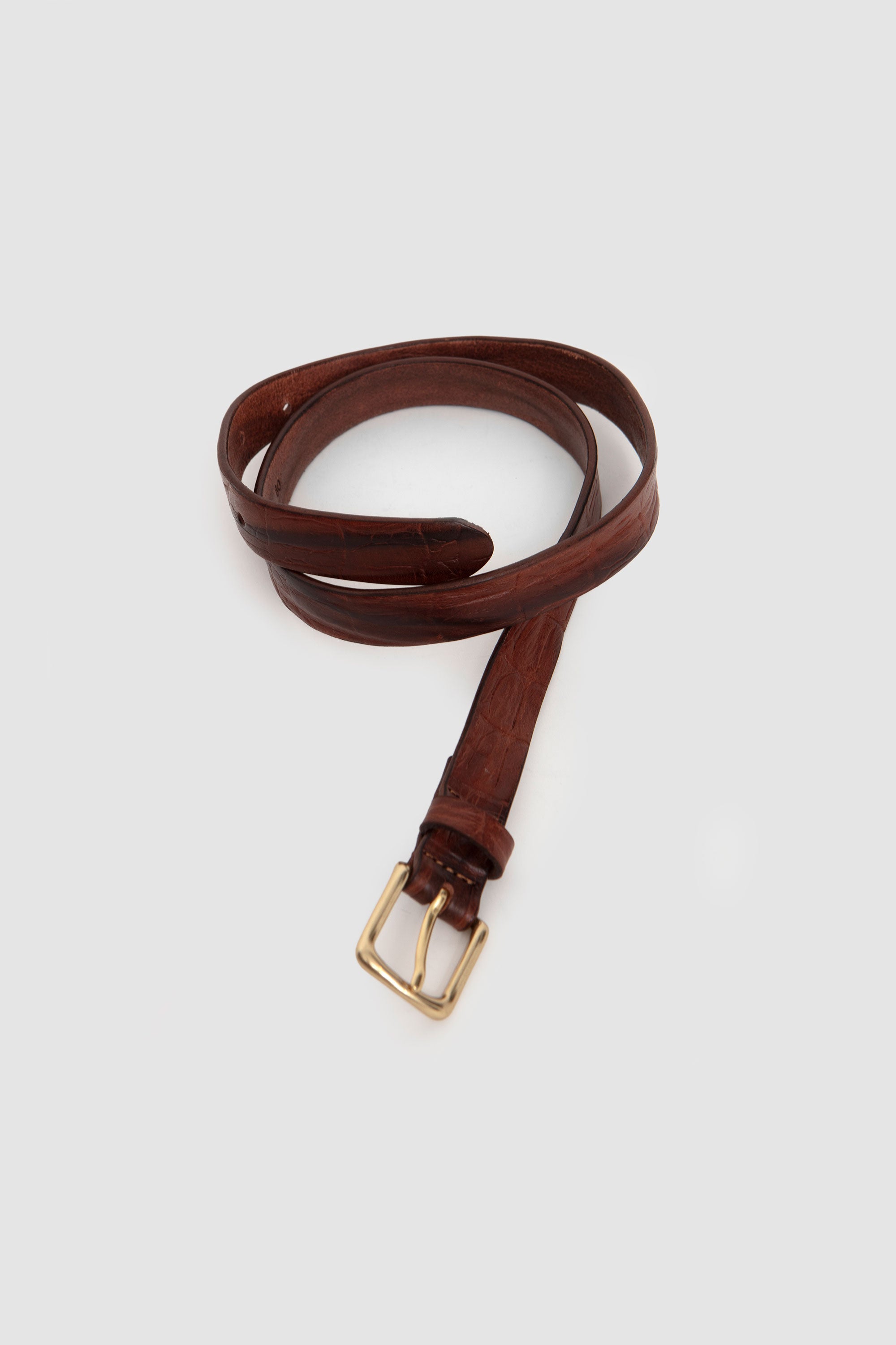 Another Belt 1.0 Brown Croc_2