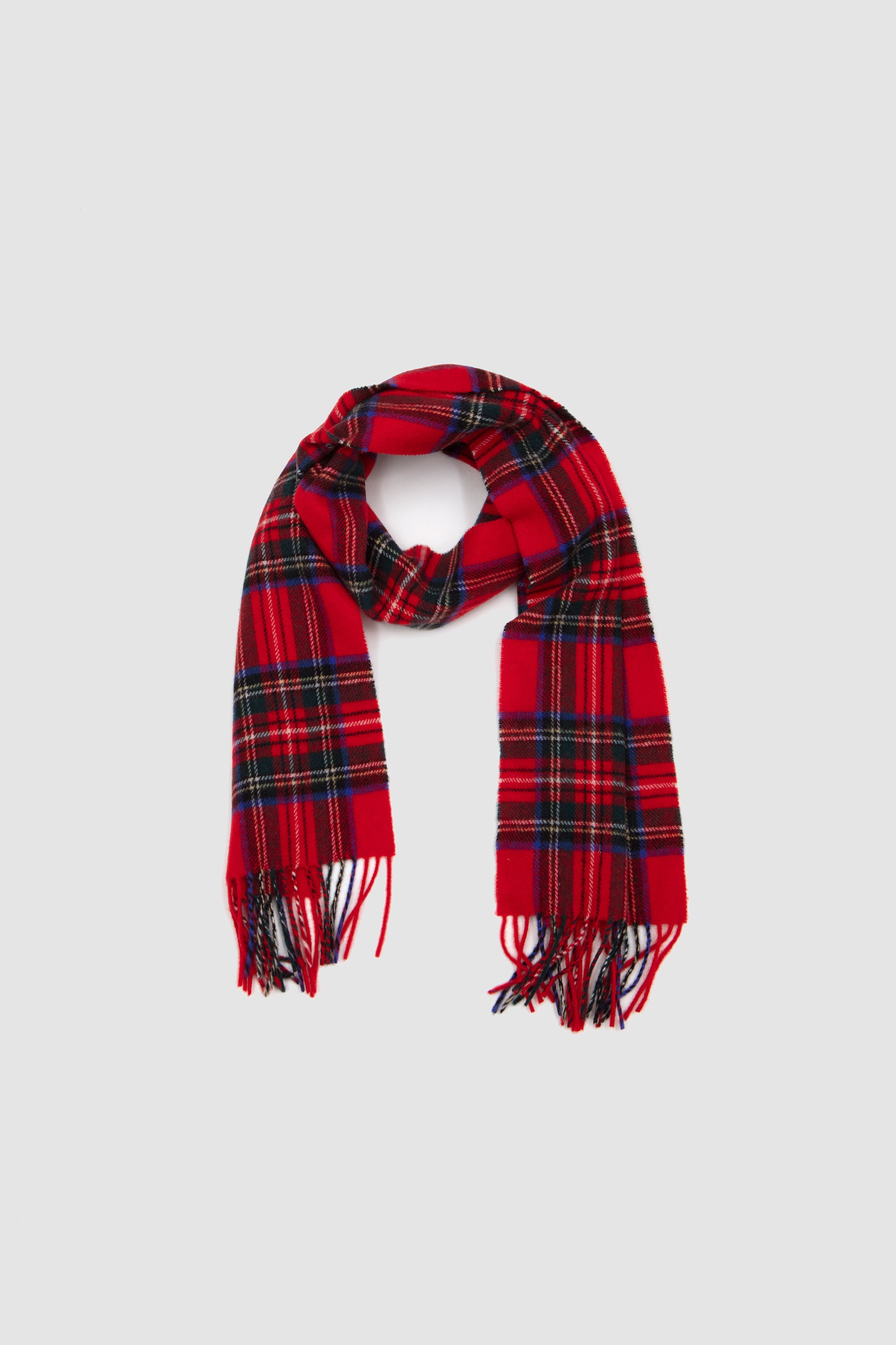 Another Scarf 1.0 Royal Stewart Tartan_2