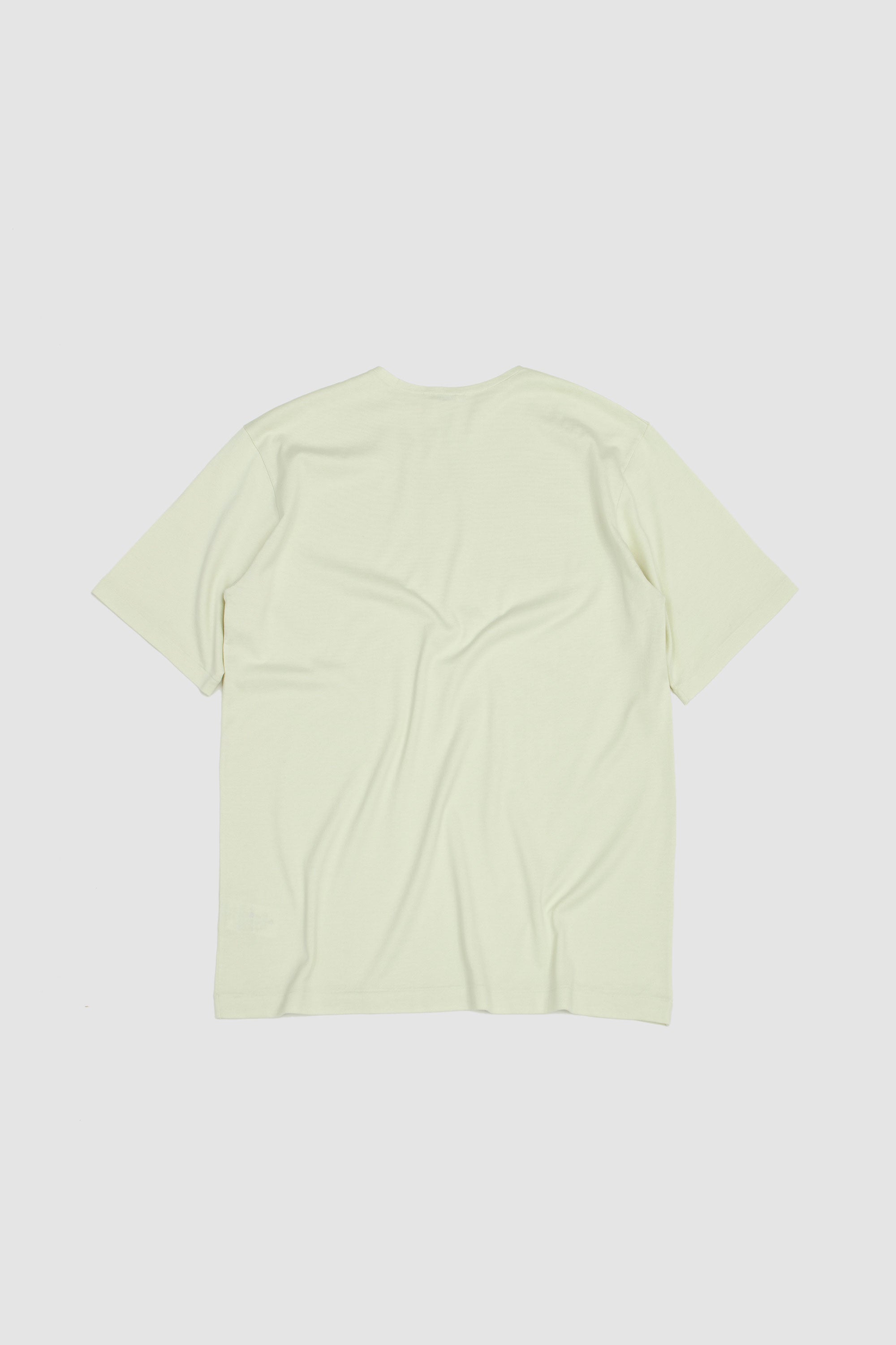 SPORTIVO [Luster plaiting boat neck tee ivory pistachio]