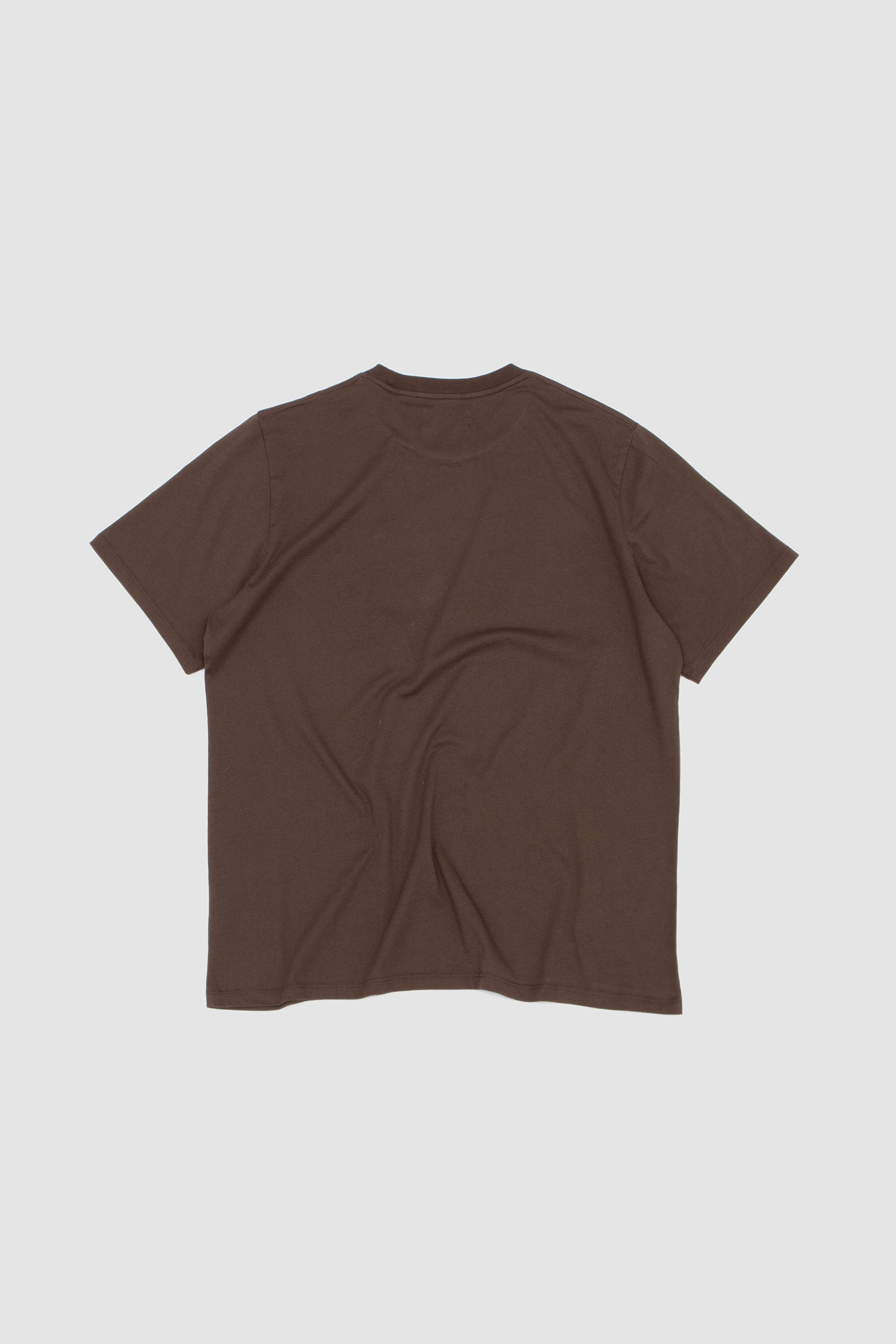 Delon T-Shirt Brown_4