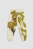 SPORTIVO STORE_Pillington Pants Ecru_5