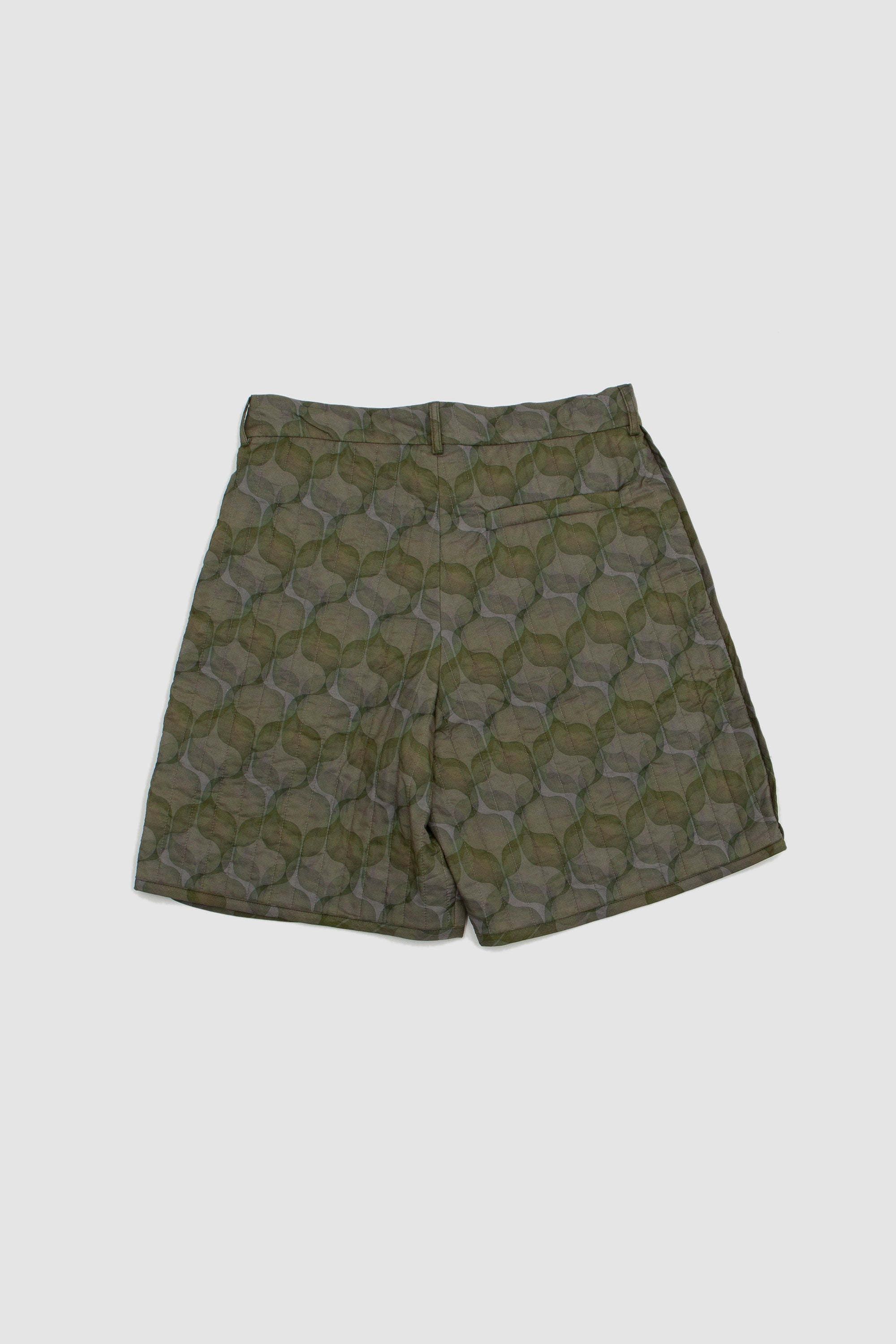 Pinlow Short Green_4