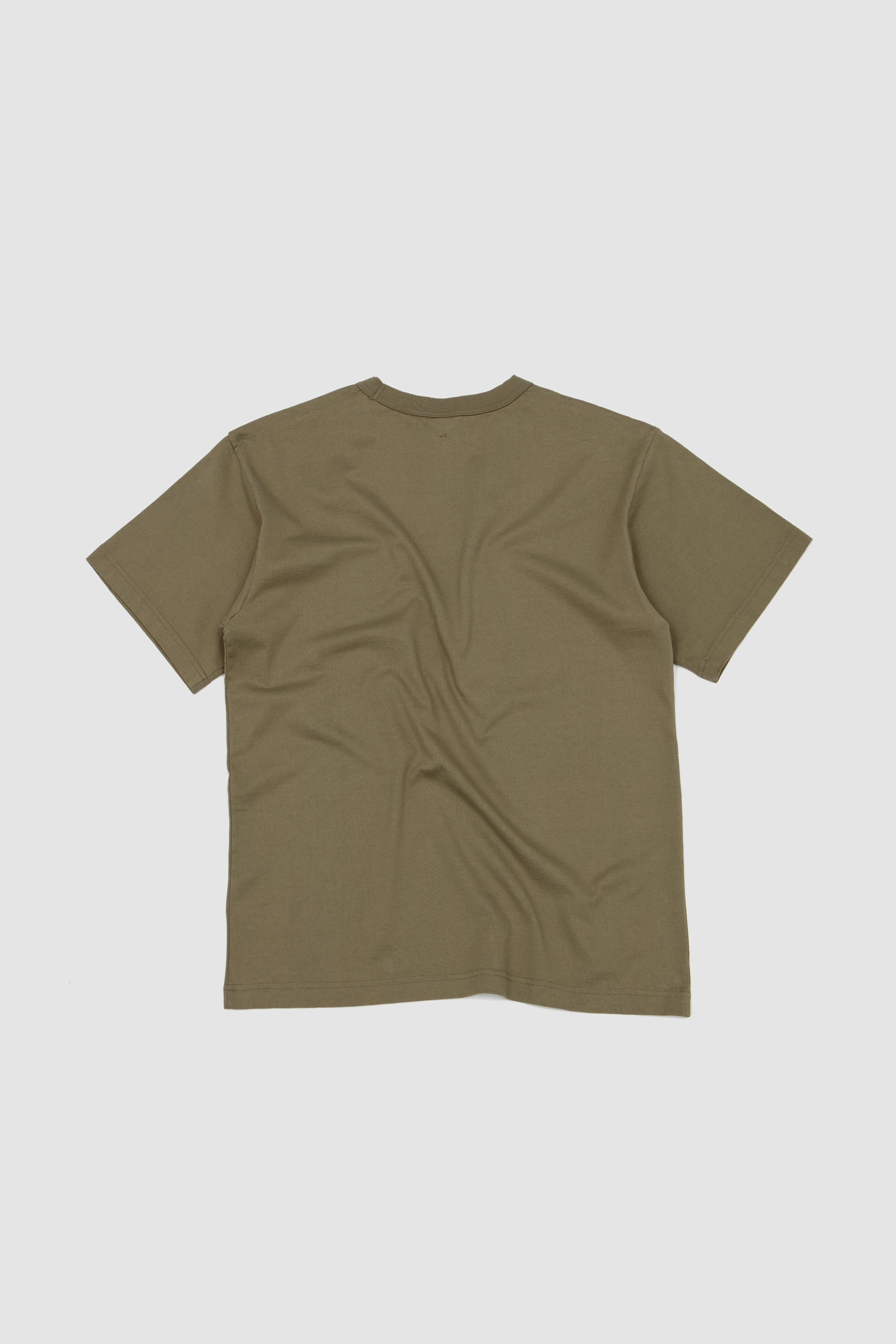 Alden T-Shirt Sage Green_4