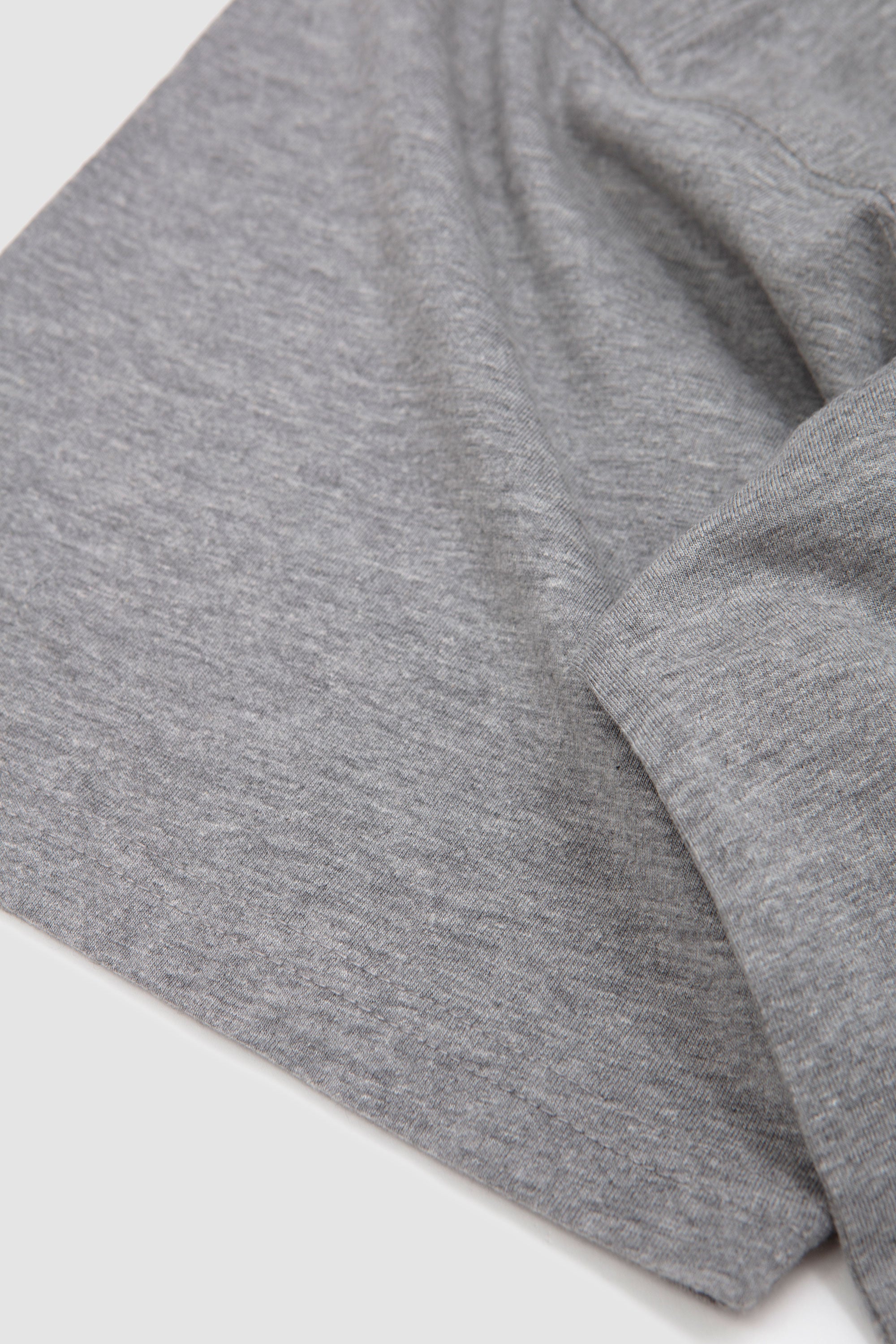 Emil T-Shirt Grey Melange_3