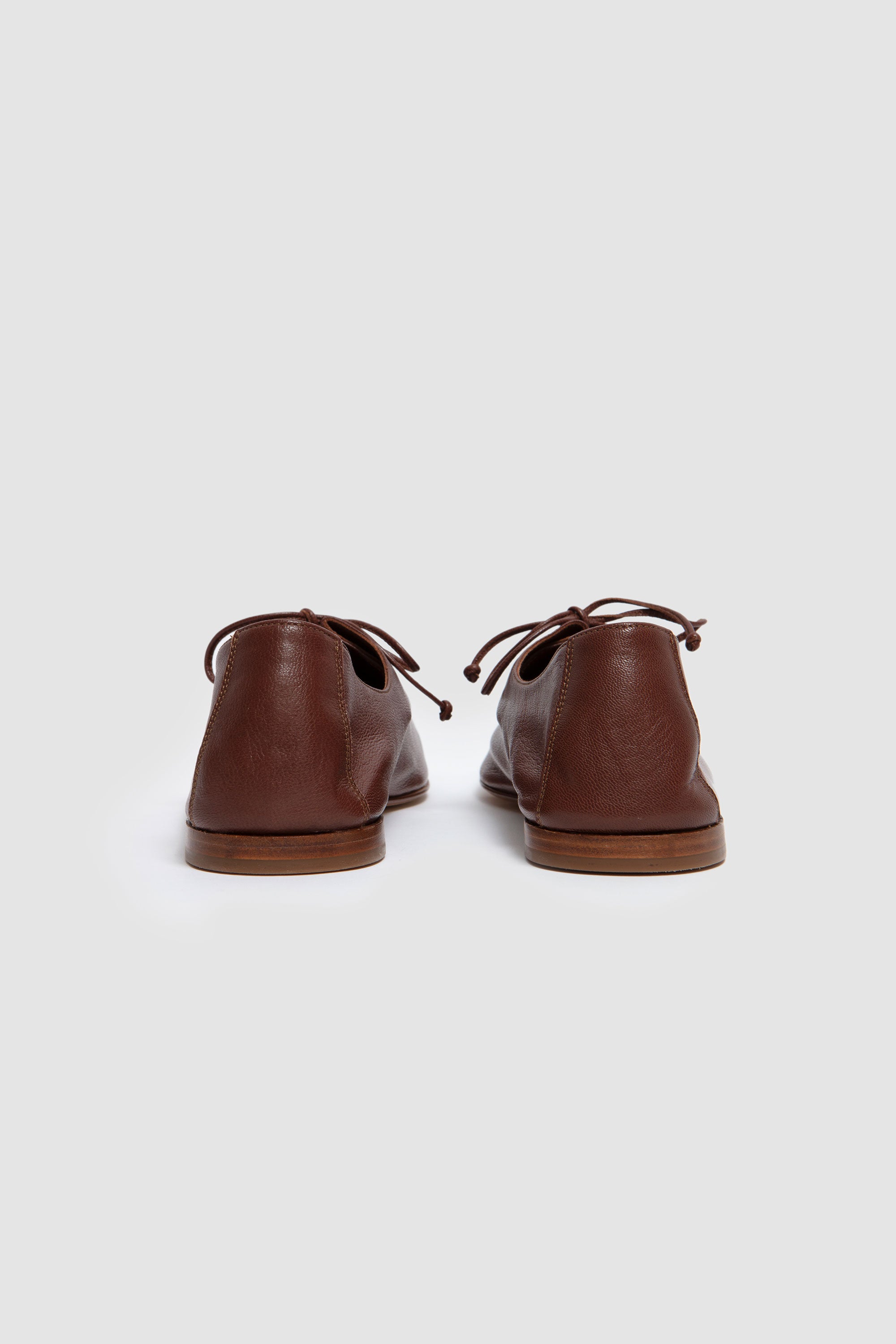Plegada Supple Shiny Leather Lit Flat Shoes Chestnut_7