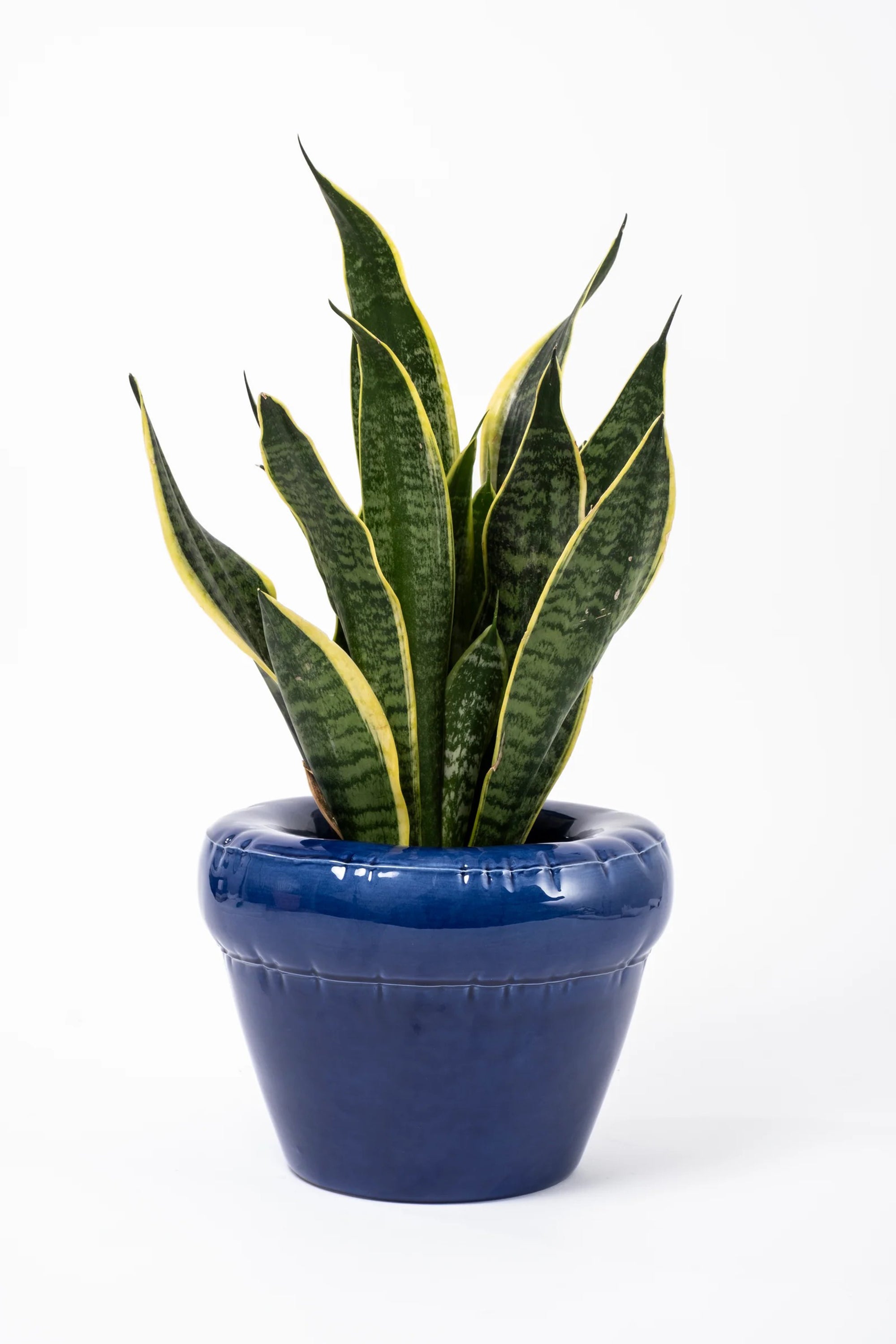 Planter Pierre Indigo Gloss