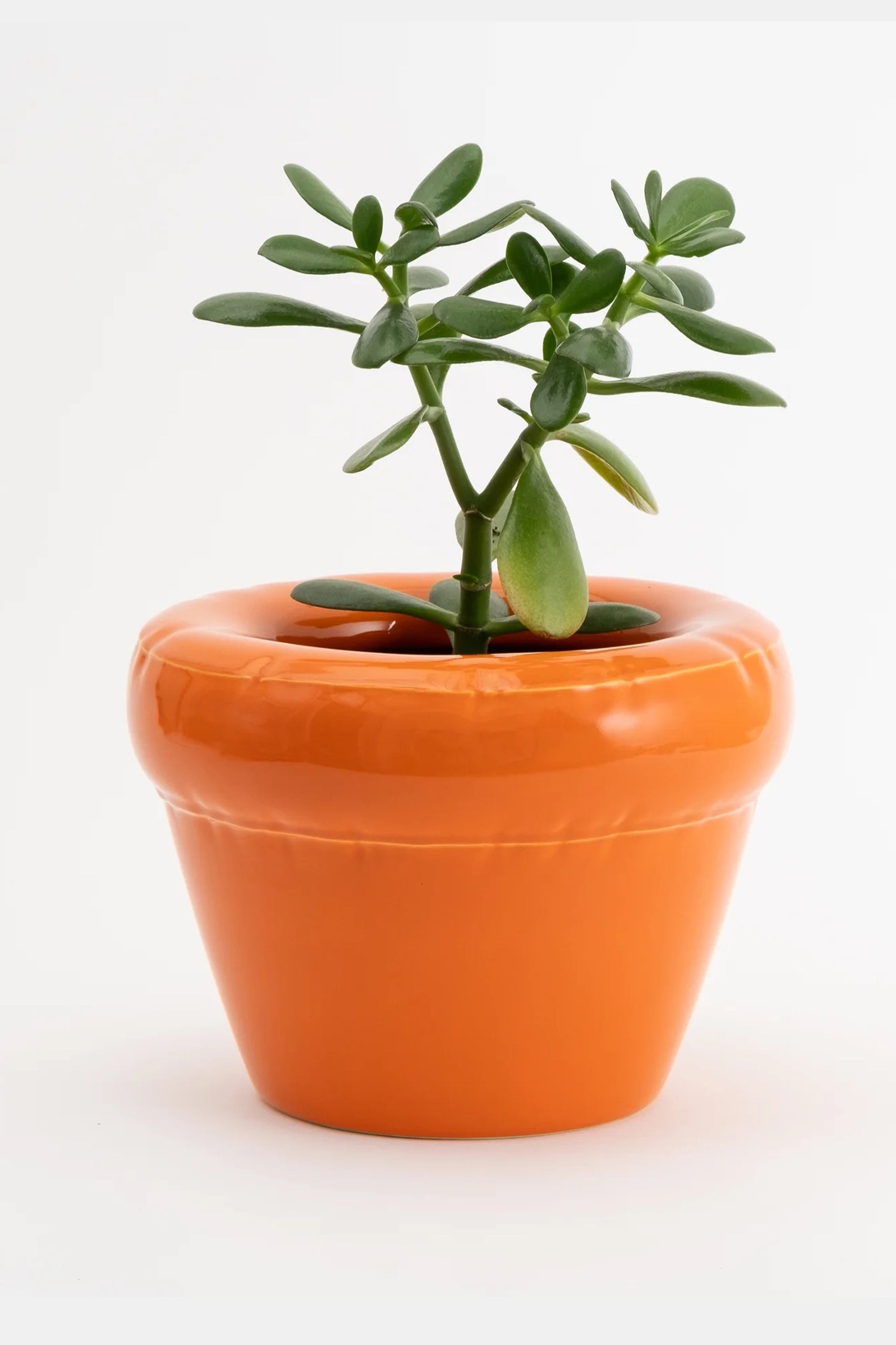 Planter Pierre Carrot Gloss_3