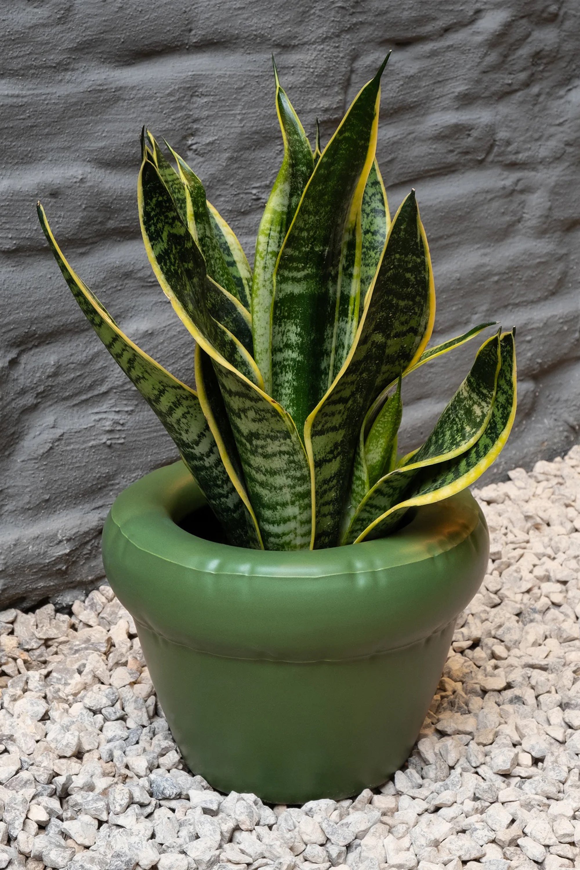 Planter Pierre Moss Matte