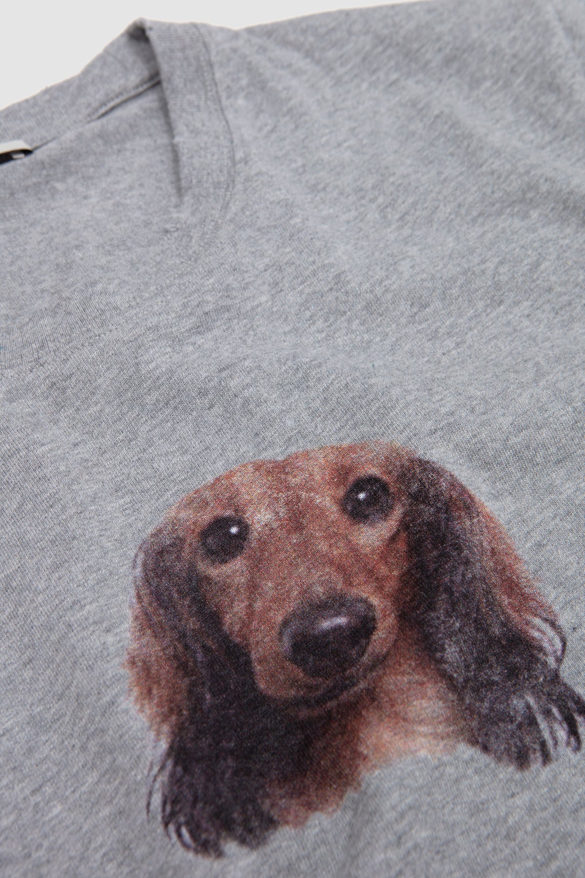 Graphic T-Shirt Heather Grey_2