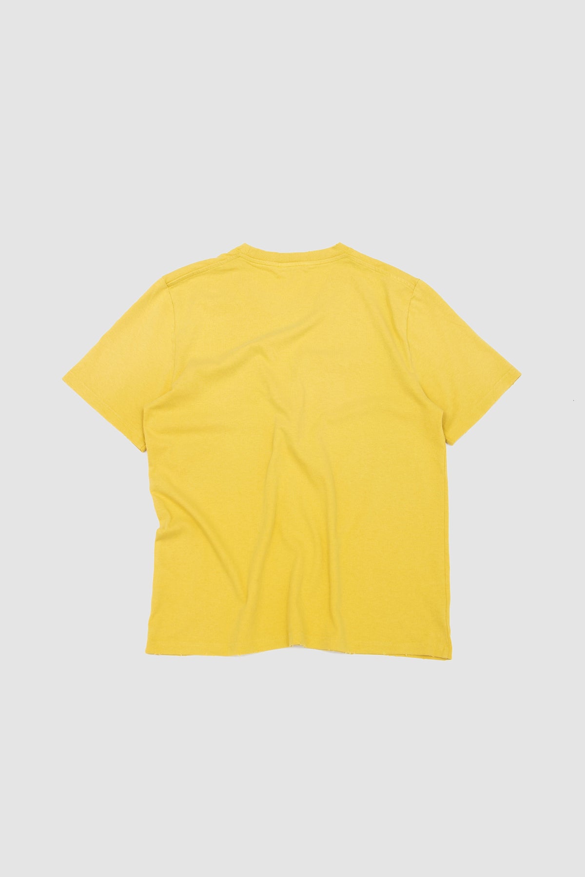 Graphic T-Shirt Sunflower_4