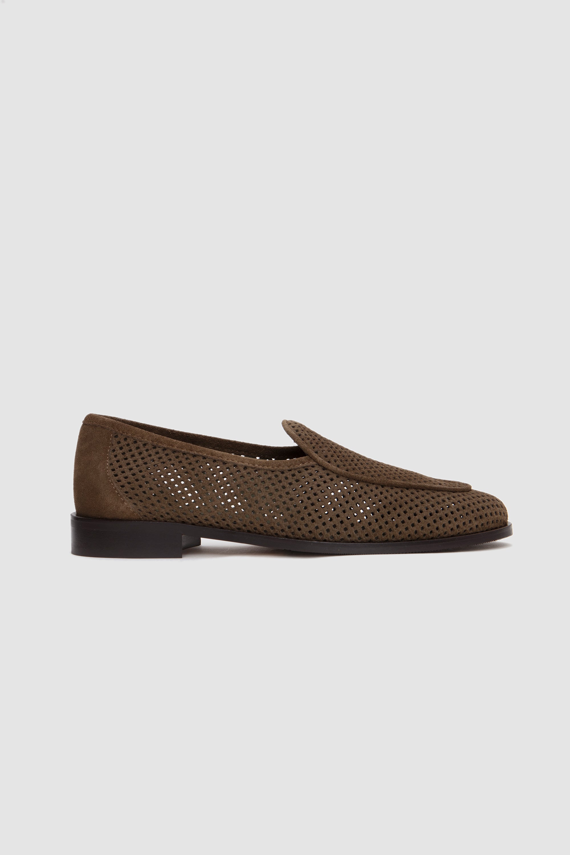 SPORTIVO [Adonis galaxy fine marron]