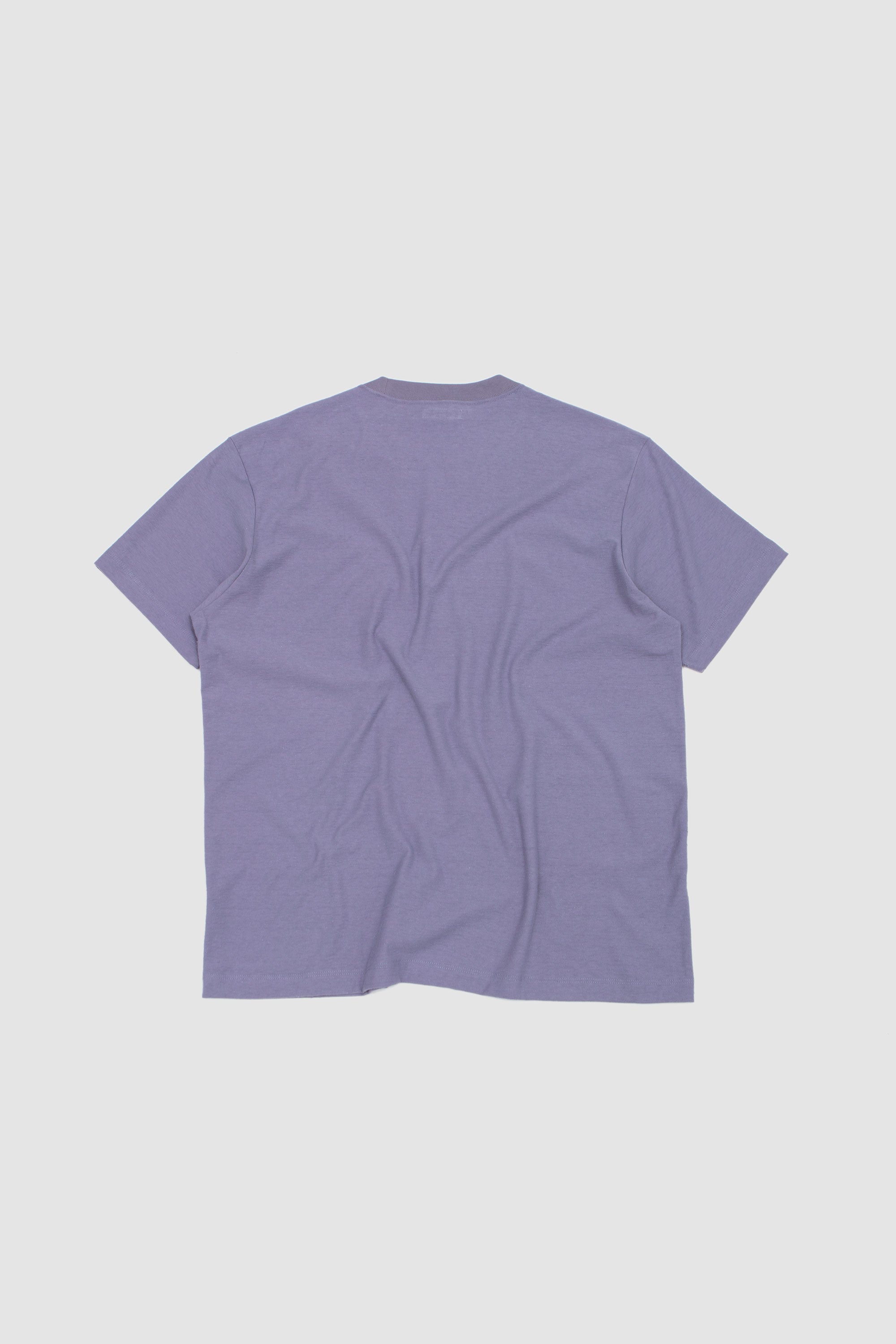 Nep T-Shirt Lilac Grey_4