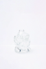 SPORTIVO STORE_Eros Torso Vase Clear_2