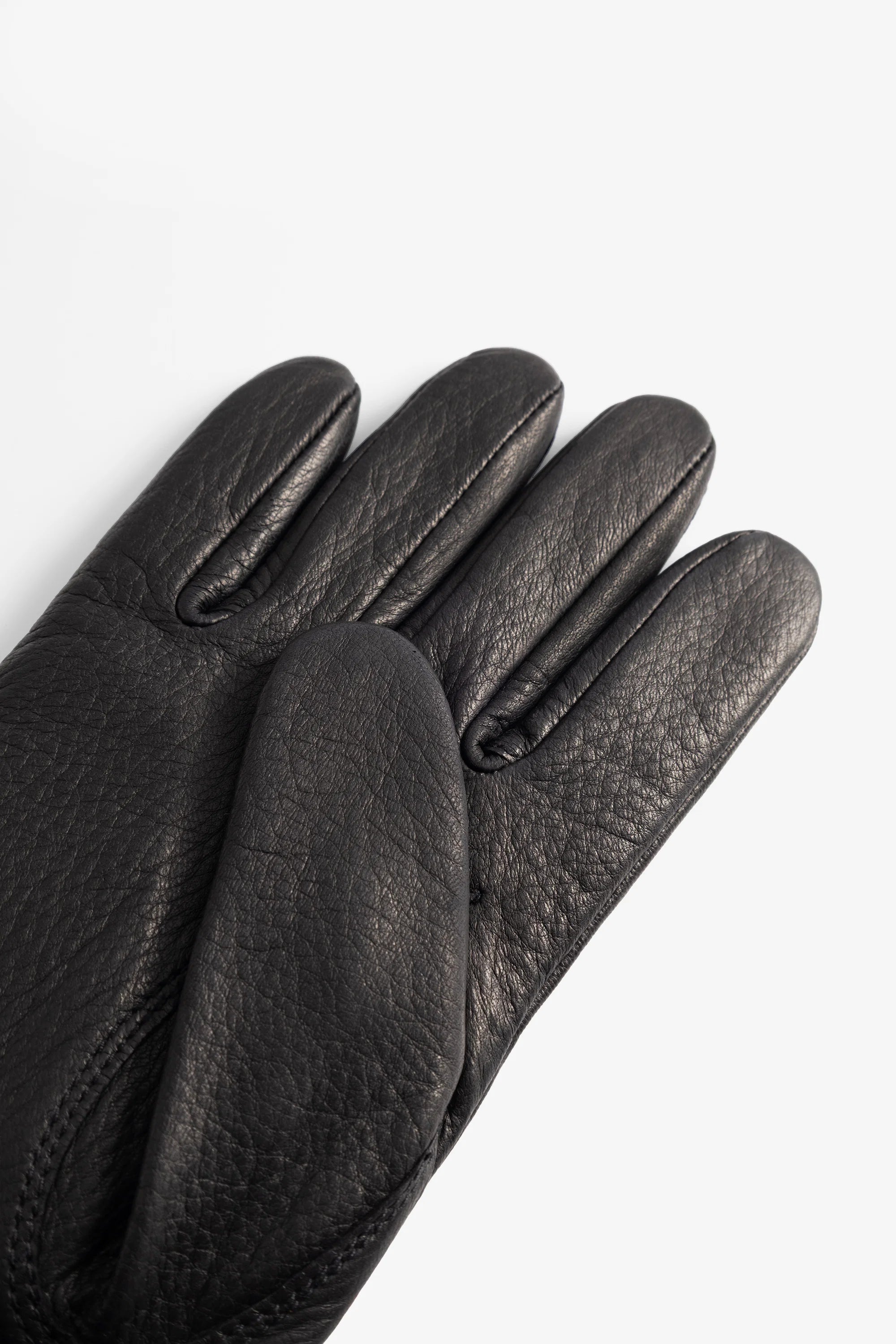 Norse x Hestra Salen Black_4