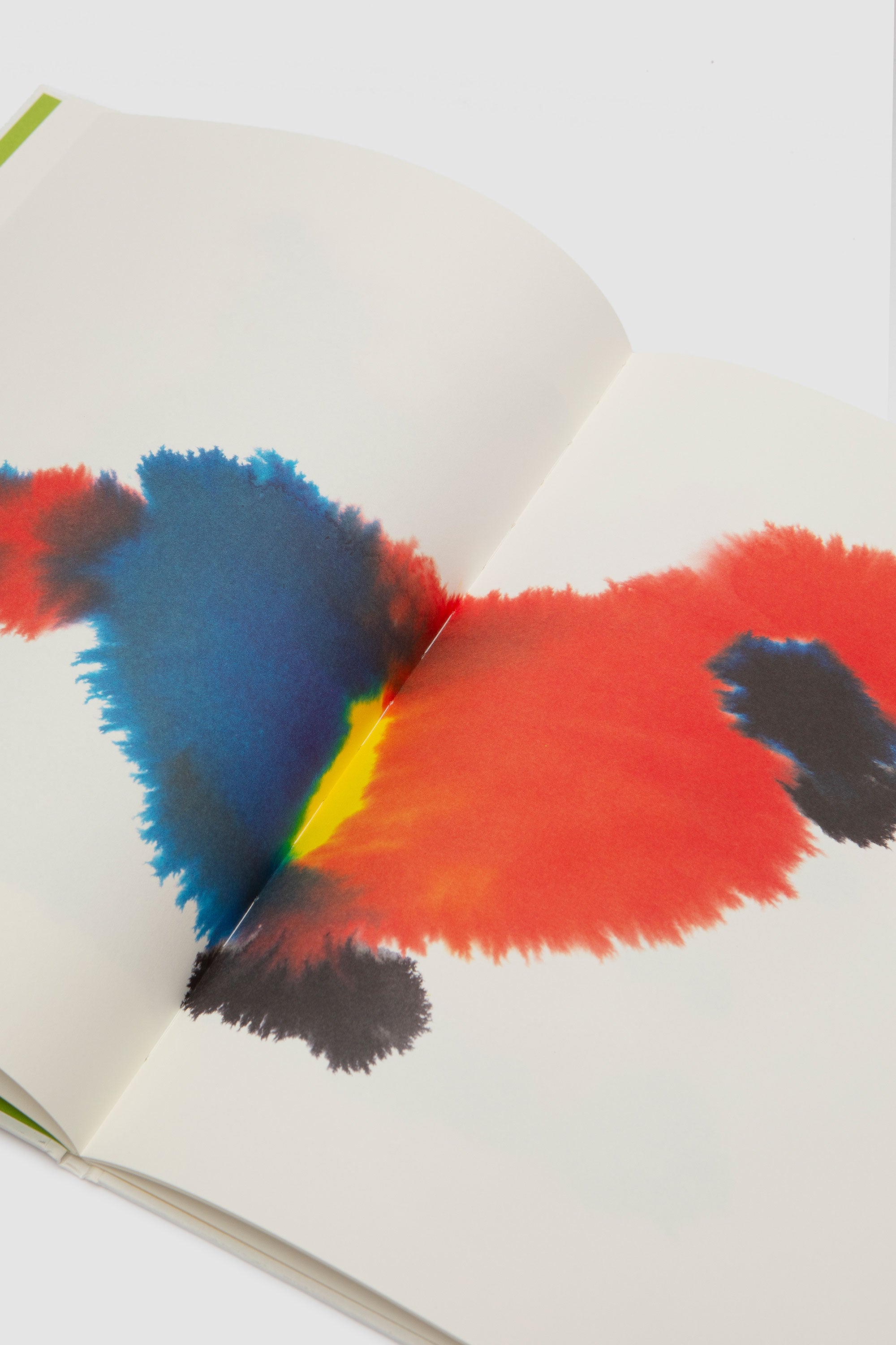 Wild Animals Print Book